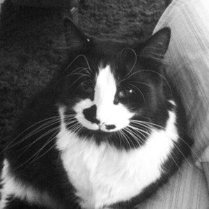 Meet your Posher, Ramona